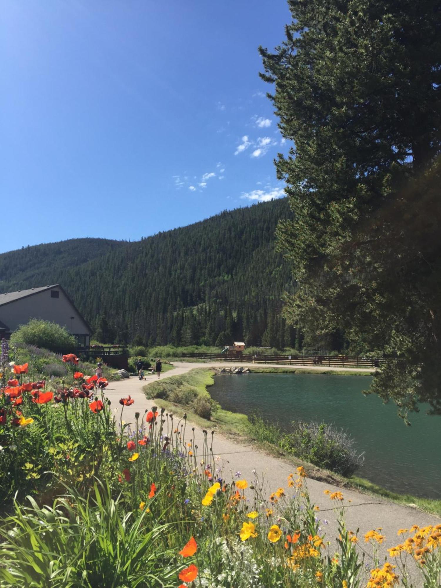 Argentine 1504 By Summitcove Lodging Keystone Exterior foto